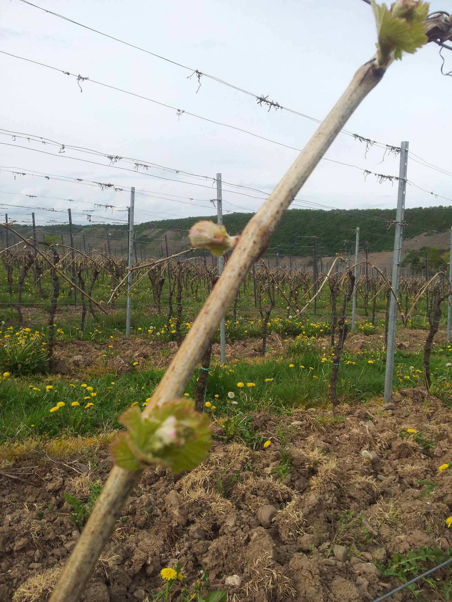 Jahrgang 2020 kommt bald!