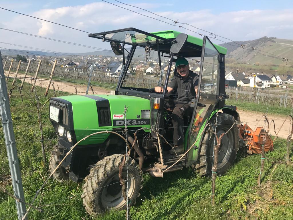 Im Weinberg - Wir arbeiten zusammen, aber alleine -