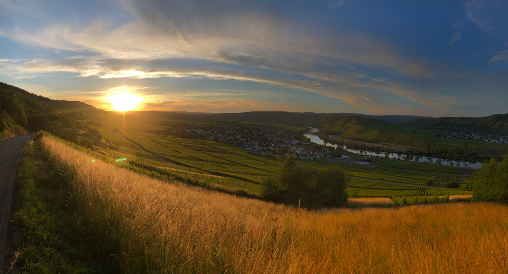 Kommen Sie an die Mosel und genießen Sie laue Nächte und unvergessliche Sonnenuntergänge