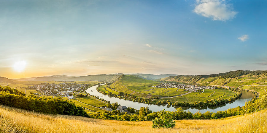 Ein Tag am Fluss - Weinlese mit den Rieslingwinzern am 07.10.2023